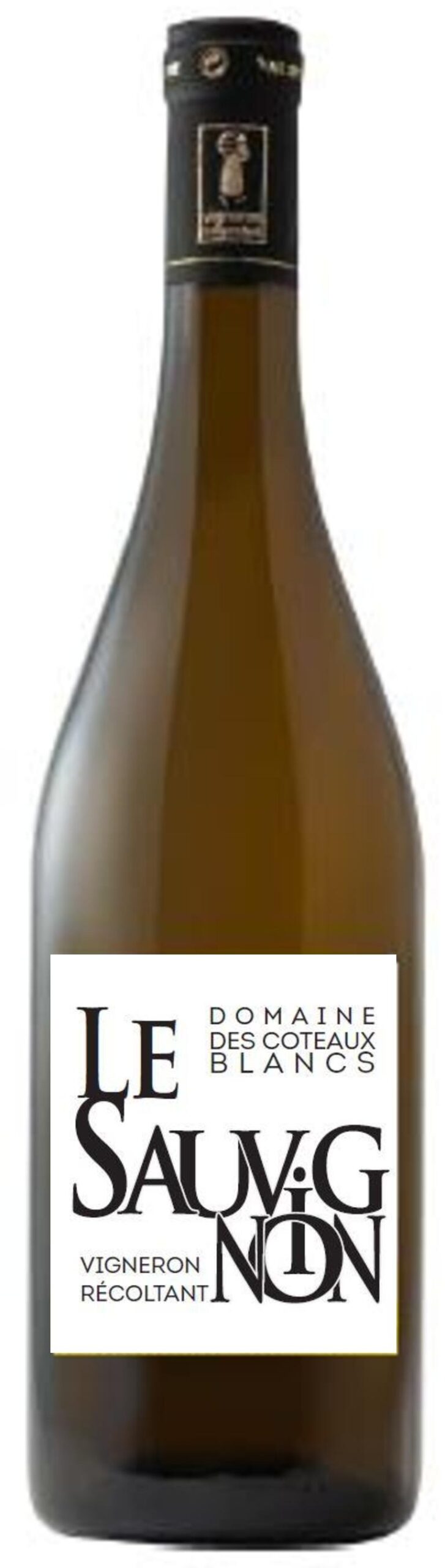 SAUVIGNON IGP VAL DE LOIRE
